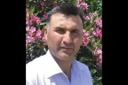 Kestiği ağacın altında kalarak can verdi