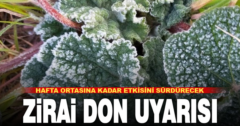 Denizli’ye zirai don uyarısı