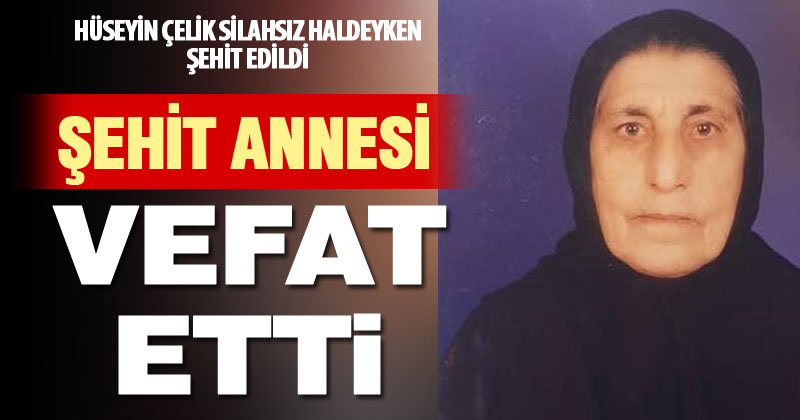 Bingöl şehidinin annesi hayatını kaybetti